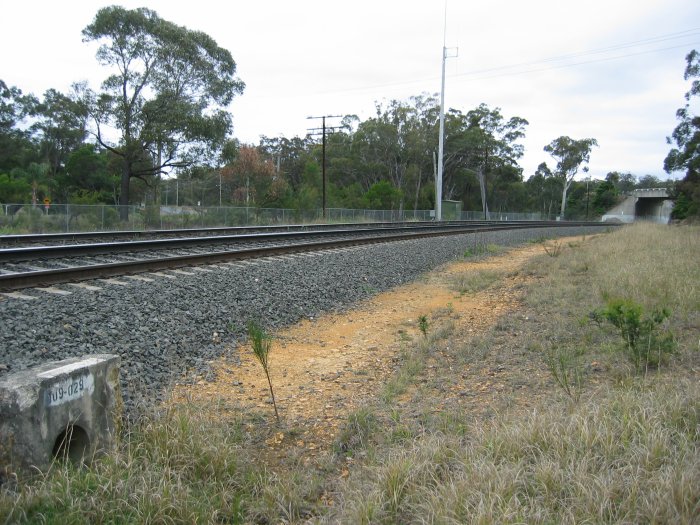 The view looking up the line from the location of the former station.