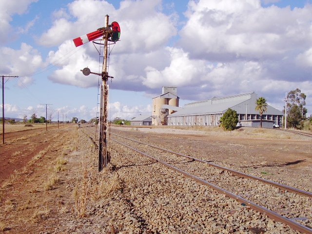 Close-up of the signalling in the Yenda yards at the Griffith end.