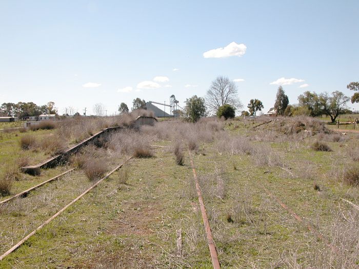 
The view looking down the line through the yard.  The platform on the left is
the goods platform.  The mound on the right is the remains of the main
platform.
