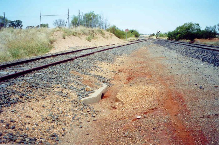 The view looking towards Bogan Gate, with the main line at the right. The remains of the loading bank is visible on the left, with the former station located on the far right.